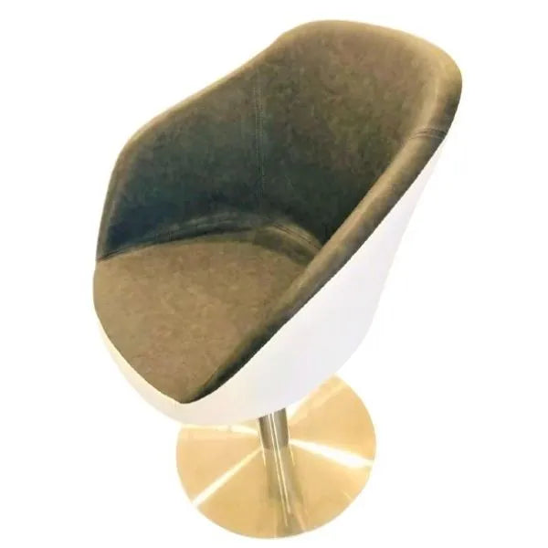 Decorite Carving Salon Chair