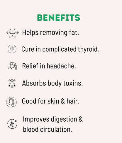 Kayapalat Magical Mud