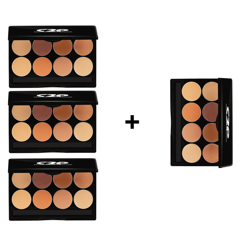 C2P BASIC KIT CONCEALER (3 Plus 1)