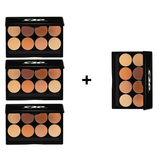 C2P BASIC KIT CONCEALER (3 Plus 1)