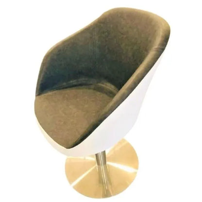 Decorite Carving Salon Chair