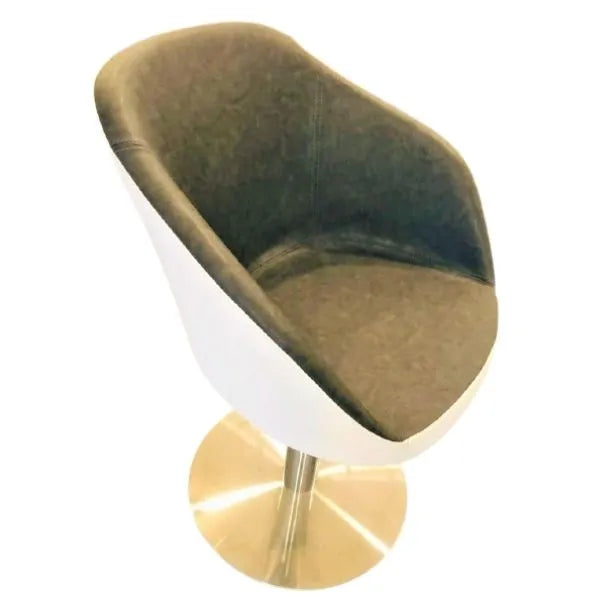 Decorite Carving Salon Chair